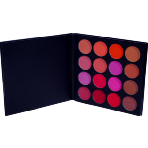 Blush Palette with 16 Vibrant Colors Classic Makeup