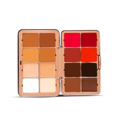 Zikel Golibe Concealer and Blush Palette 